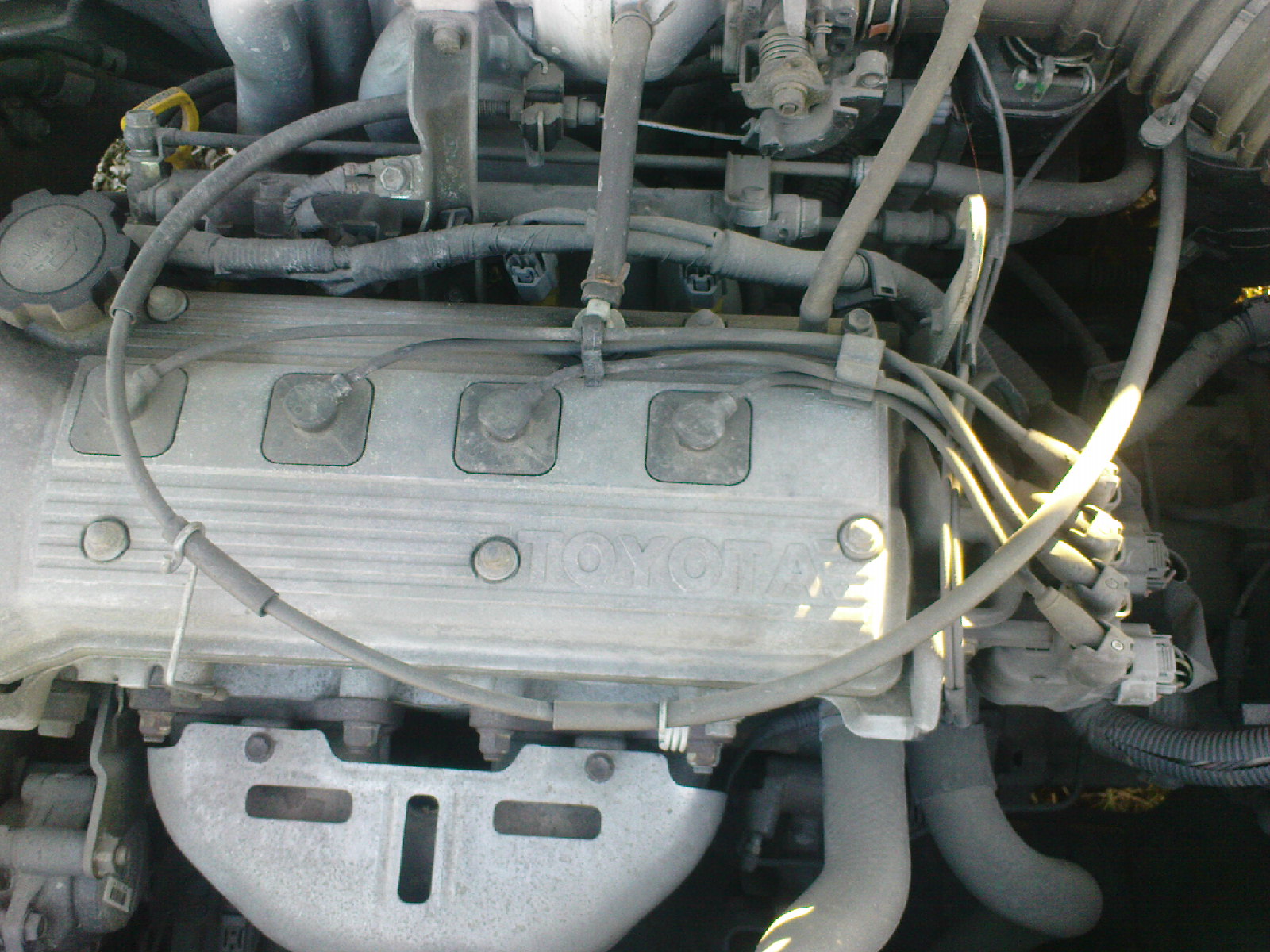 DSC00060.JPG